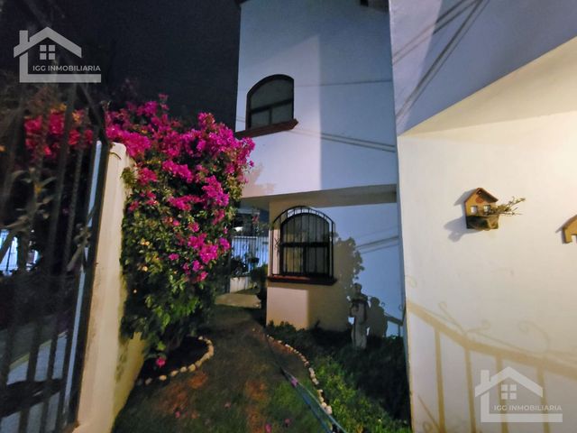 place photo 57