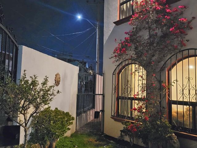 place photo 68