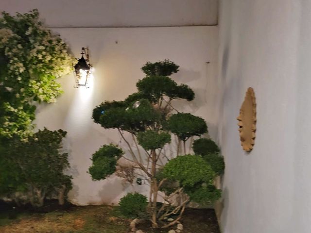 place photo 69