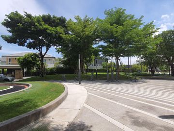 place photo 30