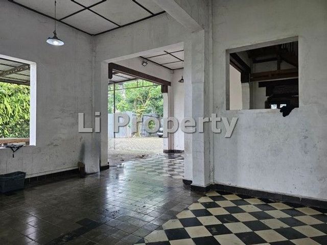 place photo 12