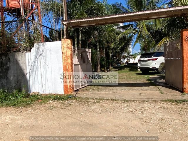 place photo 59