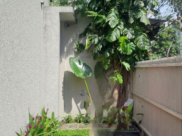 place photo 39
