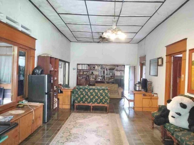 place photo 13