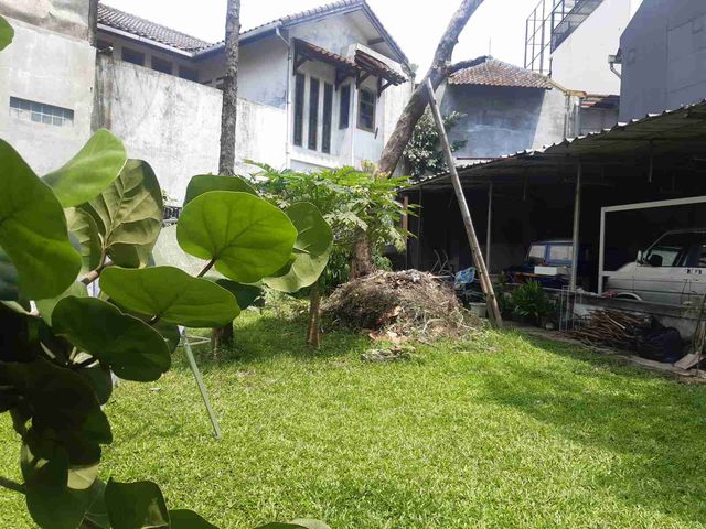 place photo 3