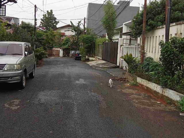 place photo 2