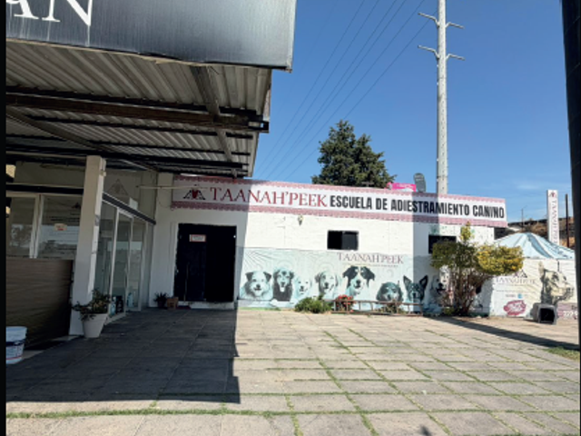 place photo 14