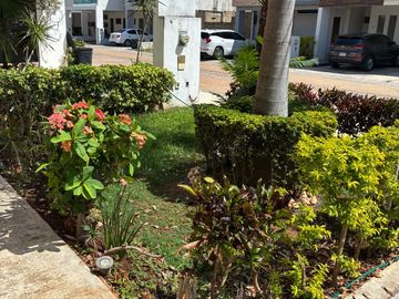 place photo 22