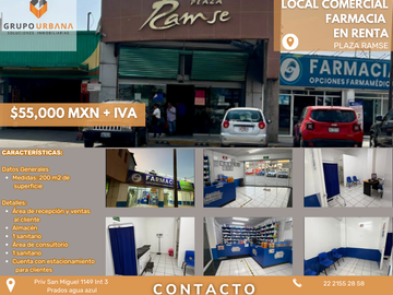 place photo 14