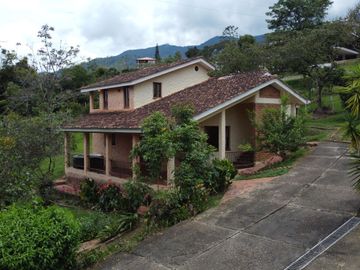 place photo 66