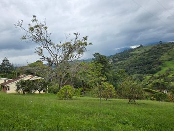 place photo 91