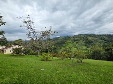 place photo 87
