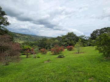 place photo 88