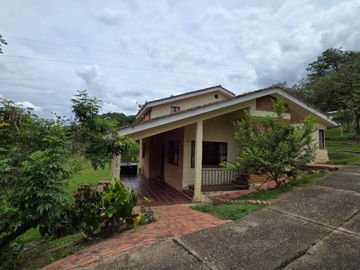 place photo 82