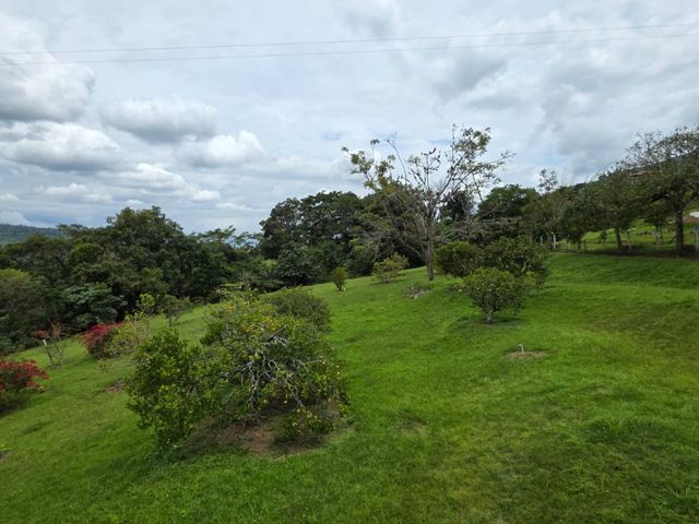 place photo 70
