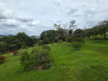 place photo 70
