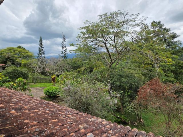 place photo 74
