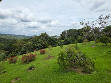 place photo 85