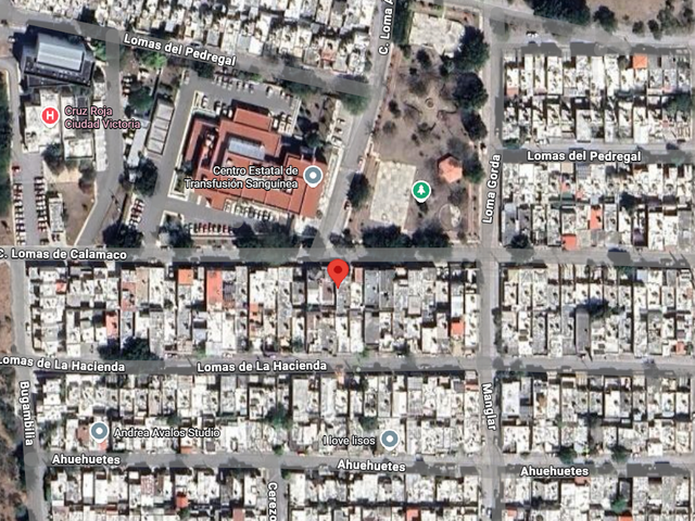 place photo 13