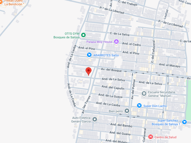 place photo 11
