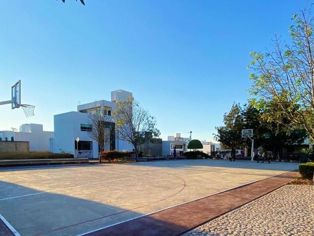 place photo 22