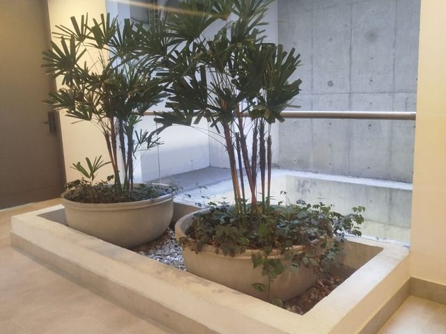 place photo 18