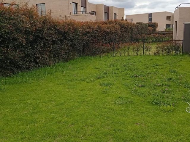 place photo 29