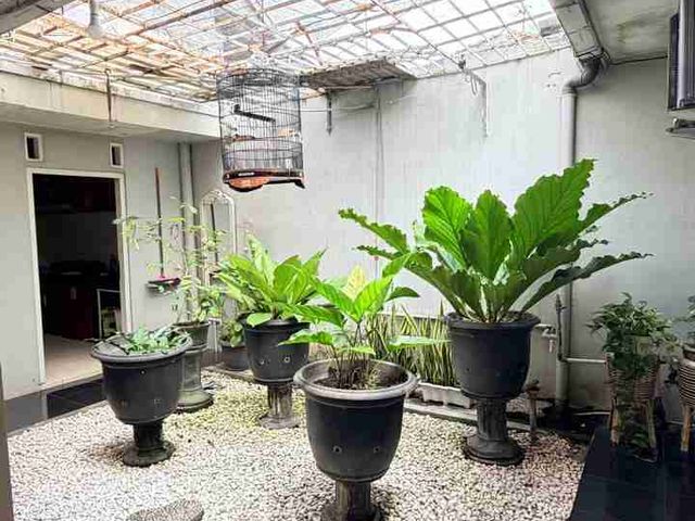place photo 29