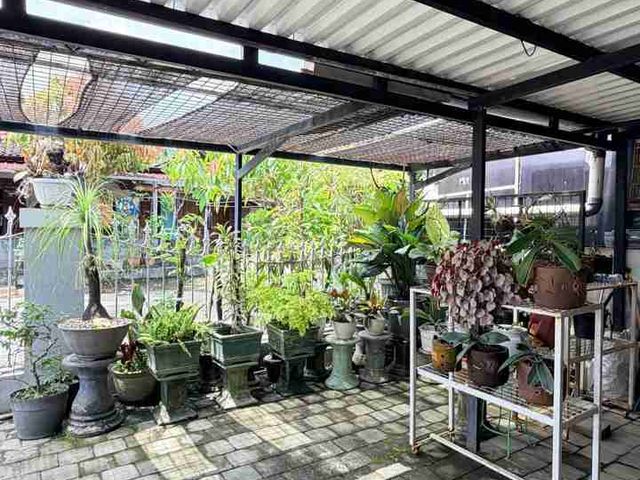 place photo 41