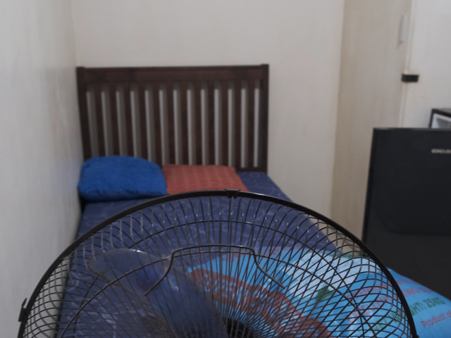 place photo 29