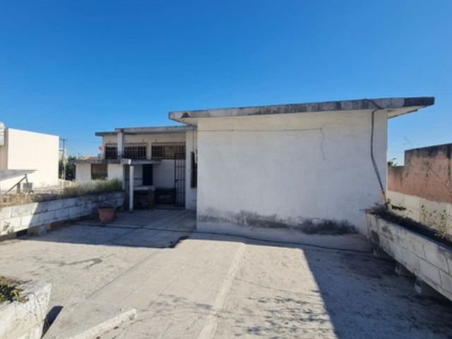 place photo 26