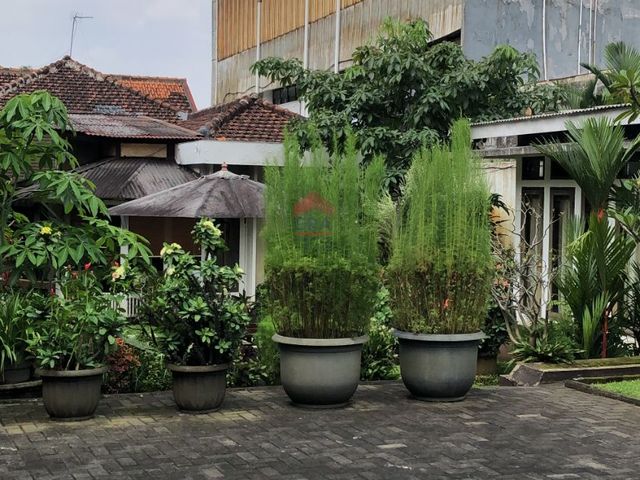 place photo 35