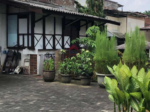 place photo 37