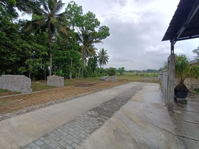 place photo 4