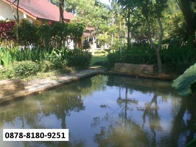 place photo 12