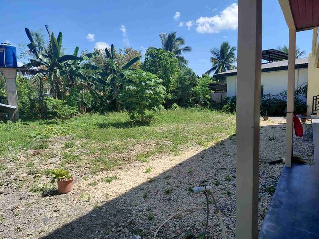 place photo 36
