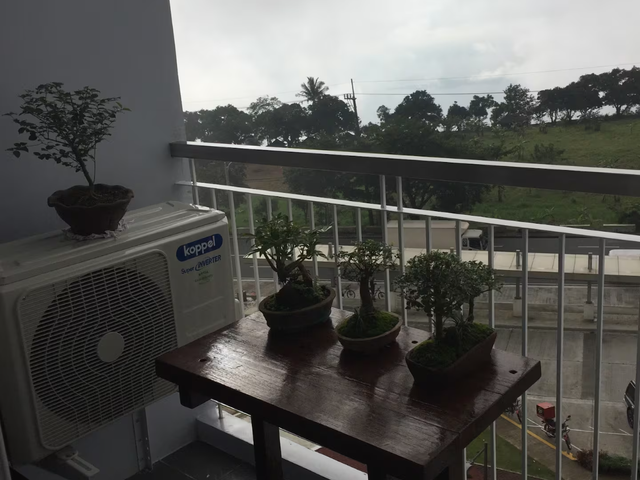 place photo 36