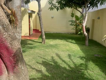 place photo 25