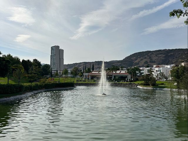 place photo 36