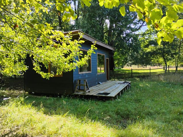 place photo 38