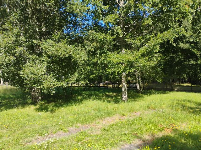 place photo 37