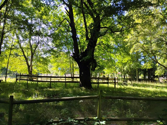 place photo 45