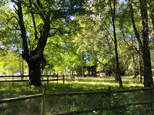 place photo 46