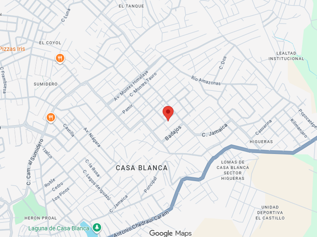 place photo 7