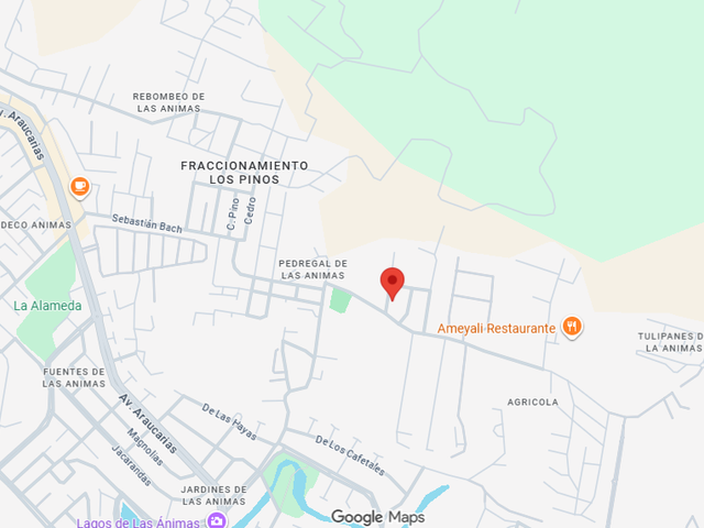 place photo 10