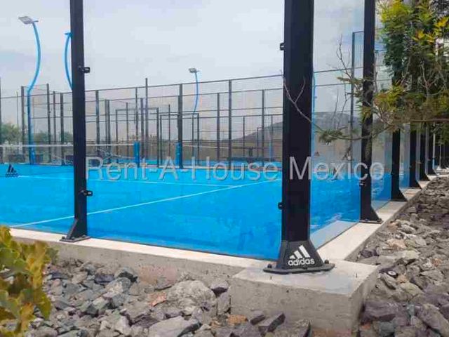 place photo 37