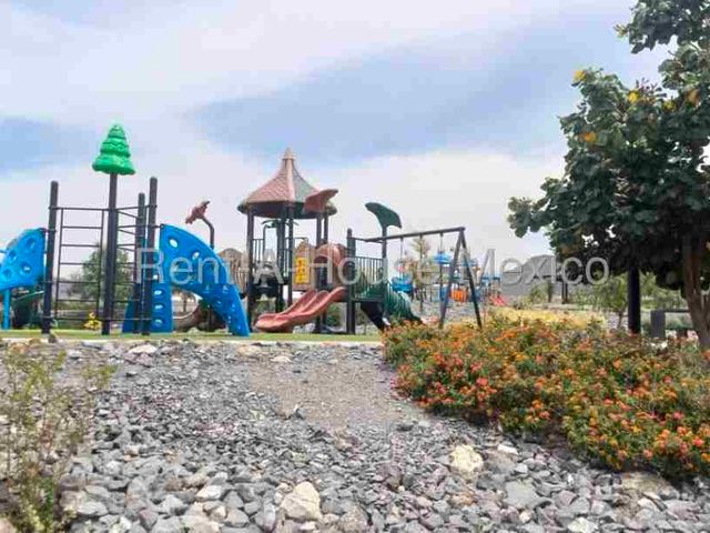 place photo 41