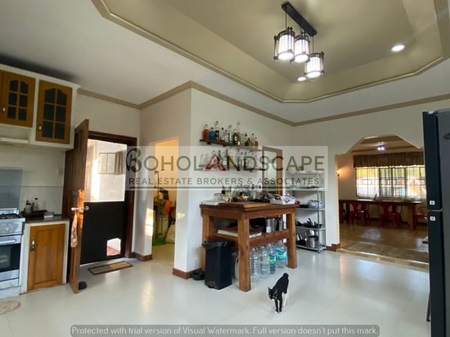 place photo 31