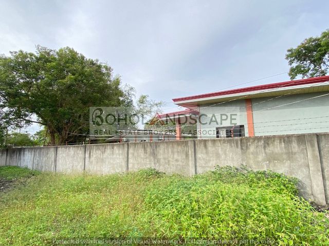 place photo 32