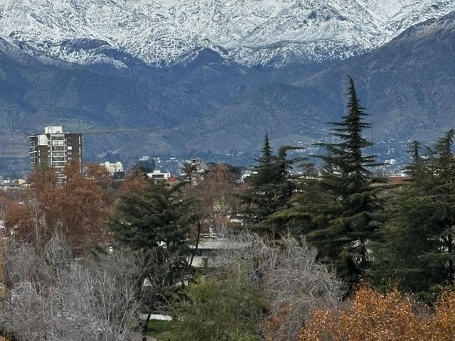 place photo 31